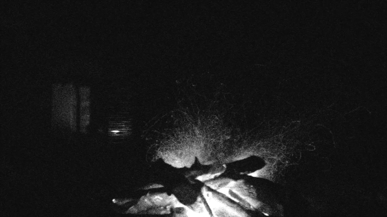 Glowing campfire embers reduced to silent-era black and white — Silent