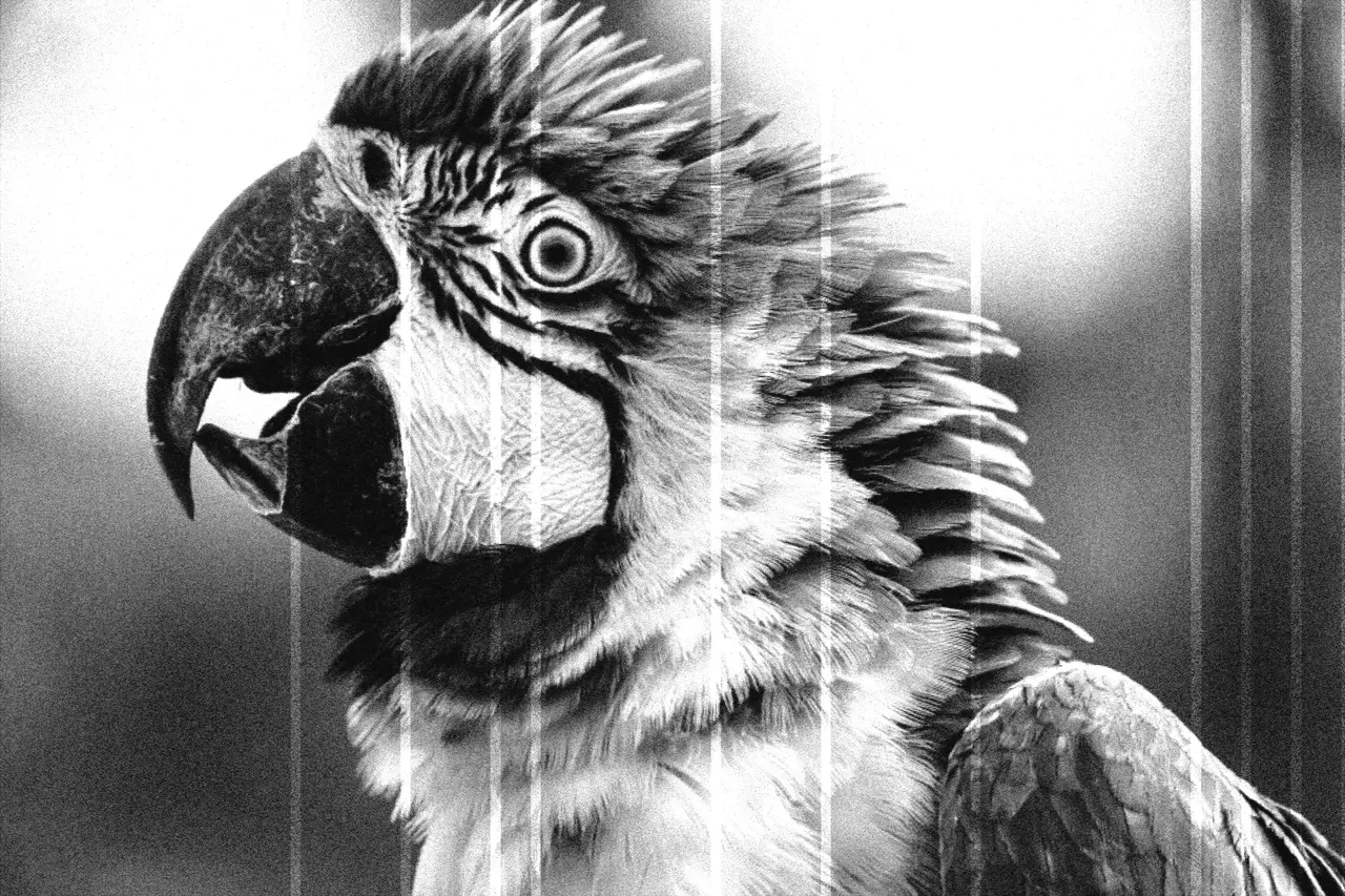 A vivid macaw reduced to silent-era black and white — Silent 1920s