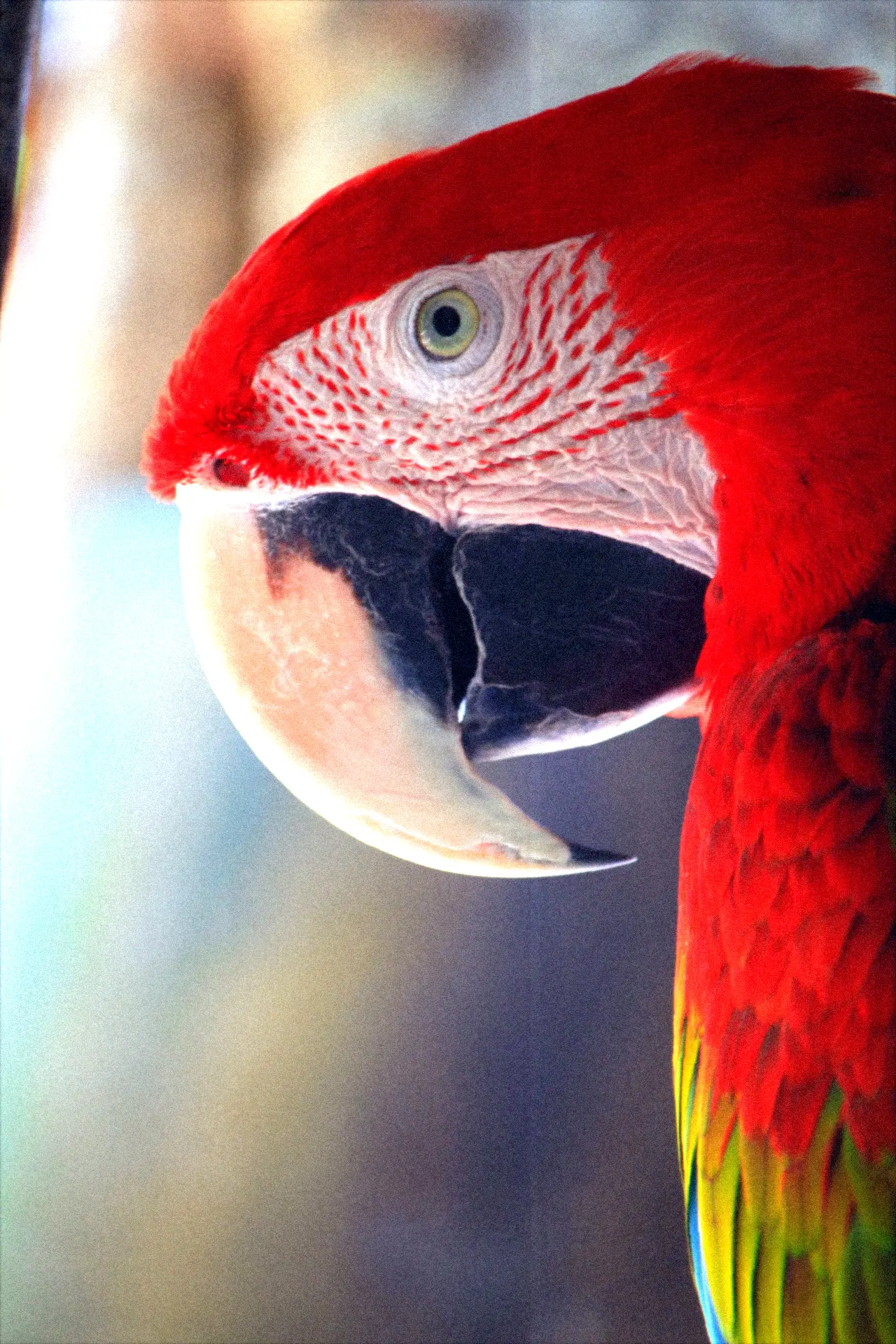 Technicolor look — real output from the engine — Technicolor