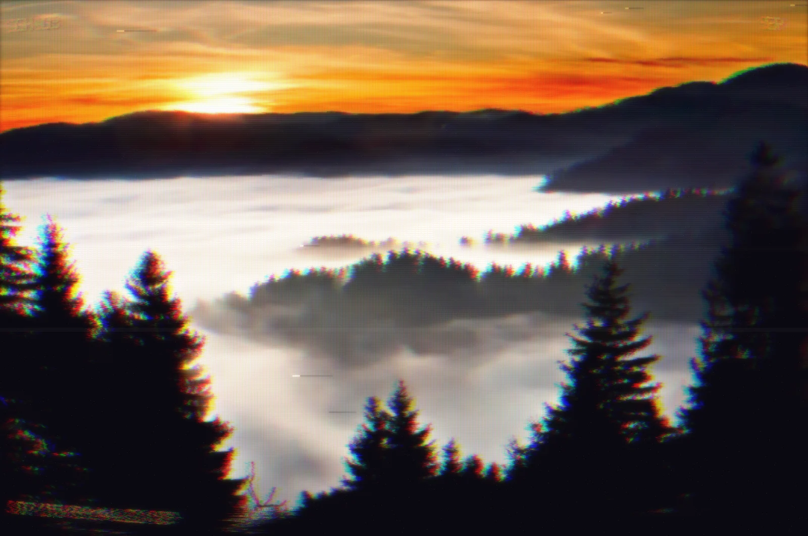 A photo graded with the Lost Media Emulator Mac app, original versus the VHS look — Late-80s VHS