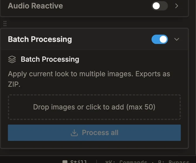 The Lost Media Emulator batch panel, queueing a folder of images to process to one look