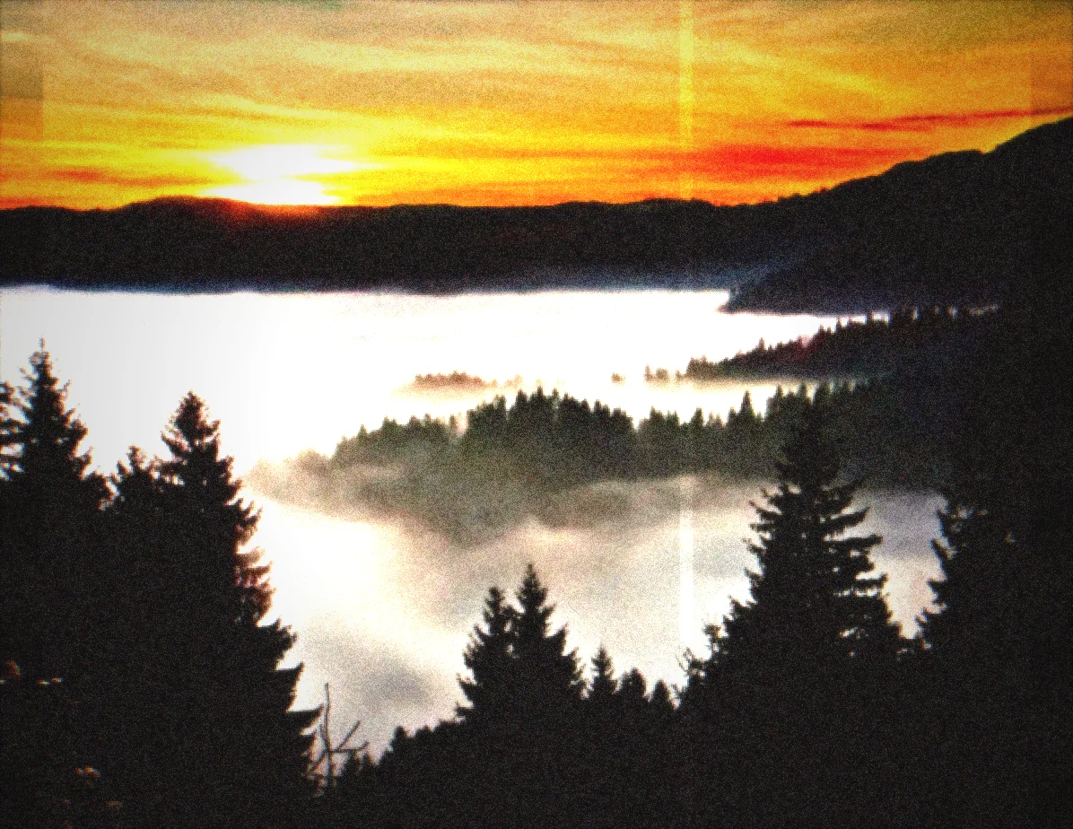 A clip graded with the Lost Media Emulator panel, playing on the Premiere Pro program monitor